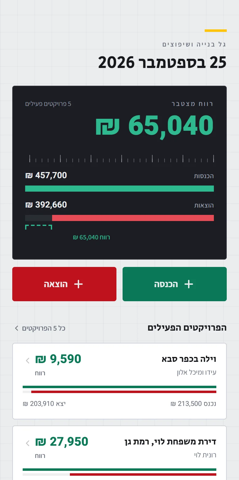 מסך המצב: רווח מצטבר, הכנסות מול הוצאות, והפרויקטים הפעילים